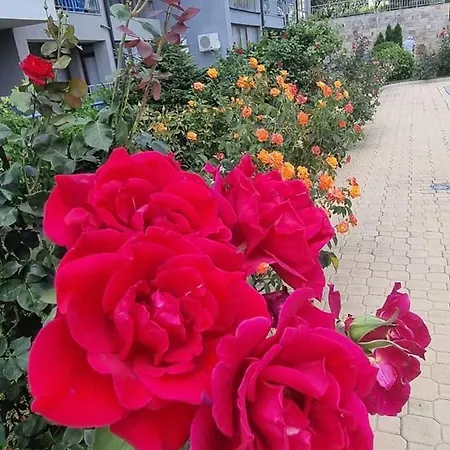 דירה Апартамент Family *